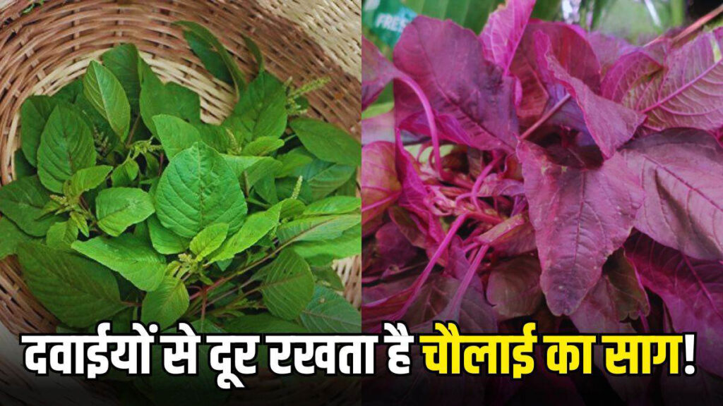Chaulai-Saag