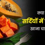 papaya-in-winters-main