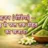 सहजन (मोरिंगा) के फायदे: 300 रोगों में उपयोगी आयुर्वेदिक सुपरफूड