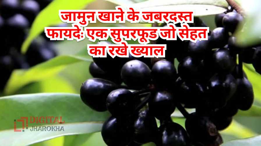 जामुन खाने के जबरदस्त फायदे: एक सुपरफूड जो सेहत का रखे ख्याल