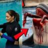 Jessica Radcliffe Orca Attack Video Truth – Fake Killer Whale Viral Clip Fact Check