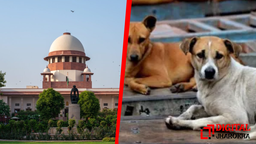 सुप्रीम कोर्ट आवारा कुत्तों मामला: दिल्ली-NCR में सड़कों पर भटकते कुत्तों पर रोक या राहत?